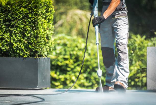 Best Fence Cleaning  in Delft Colony, CA