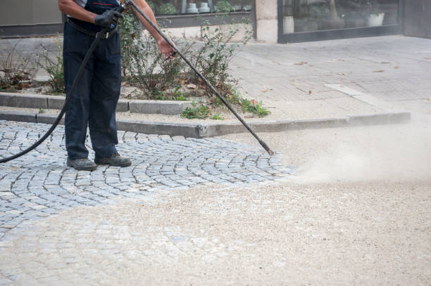 Best Gutter Cleaning  in Delft Colony, CA